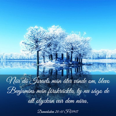 Picture 03 - Domarboken 20:41 SV1917 - När då Israels män åter vände om, blevo - Bible Verse Picture