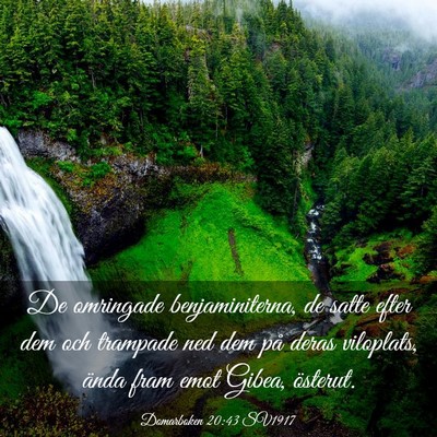 Picture 03 - Domarboken 20:43 SV1917 - De omringade benjaminiterna, de satte efter dem - Bible Verse Picture