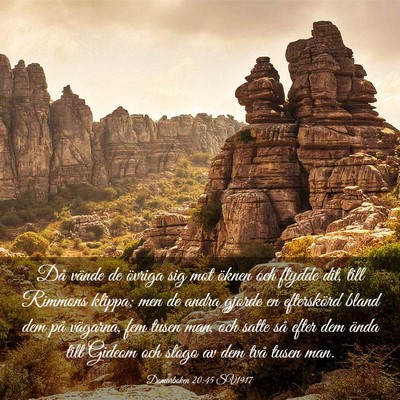 Picture 03 - Domarboken 20:45 SV1917 - Då vände de övriga sig mot öknen och flydde - Bible Verse Picture