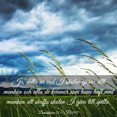 Picture 03 - Domarboken 21:11 SV1917 - Ja, detta är vad I skolen göra: allt mankön - Bible Verse Picture