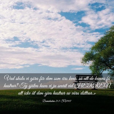 Picture 03 - Domarboken 21:7 SV1917 - Vad skola vi göra för dem som äro kvar, så - Bible Verse Picture