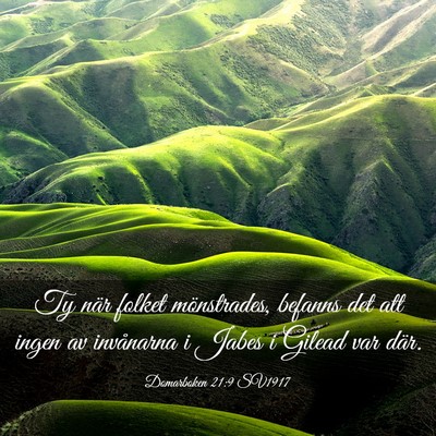 Picture 03 - Domarboken 21:9 SV1917 - Ty när folket mönstrades, befanns det att ingen - Bible Verse Picture