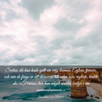 Picture 03 - Domarboken 3:24 SV1917 - Sedan, då han hade gått sin väg, kommo Eglons - Bible Verse Picture