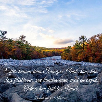 Picture 03 - Domarboken 3:31 SV1917 - Efter honom kom Samgar, Anats son; han slog - Bible Verse Picture