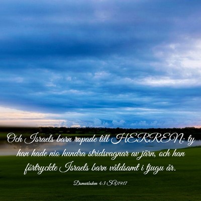 Picture 03 - Domarboken 4:3 SV1917 - Och Israels barn ropade till HERREN; ty han hade - Bible Verse Picture