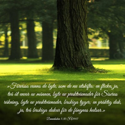 Picture 03 - Domarboken 5:30 SV1917 - »Förvisso vunno de byte, som de nu utskifta: en - Bible Verse Picture
