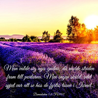 Picture 03 - Domarboken 5:8 SV1917 - Man valde sig nya gudar; då nådde striden fram - Bible Verse Picture