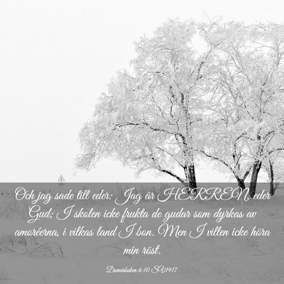 Picture 03 - Domarboken 6:10 SV1917 - Och jag sade till eder: Jag är HERREN, eder Gud; - Bible Verse Picture