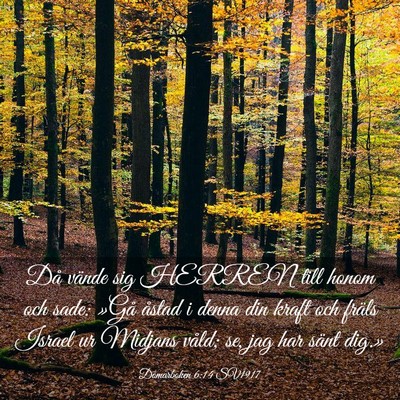 Picture 03 - Domarboken 6:14 SV1917 - Då vände sig HERREN till honom och sade: »Gå - Bible Verse Picture