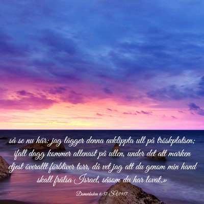 Picture 03 - Domarboken 6:37 SV1917 - så se nu här: jag lägger denna avklippta ull - Bible Verse Picture