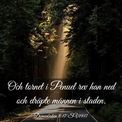 Picture 03 - Domarboken 8:17 SV1917 - Och tornet i Penuel rev han ned och dräpte - Bible Verse Picture