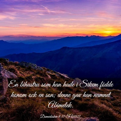 Picture 03 - Domarboken 8:31 SV1917 - En bihustru som han hade i Sikem födde honom ock - Bible Verse Picture