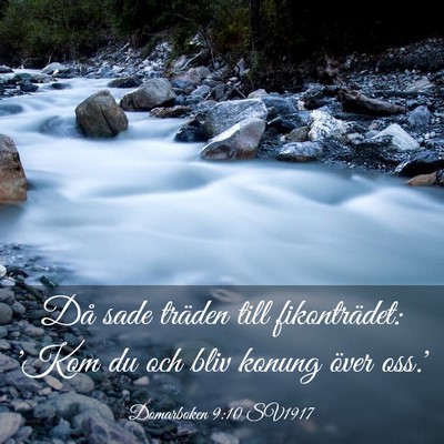 Picture 03 - Domarboken 9:10 SV1917 - Då sade träden till fikonträdet: 'Kom du och - Bible Verse Picture