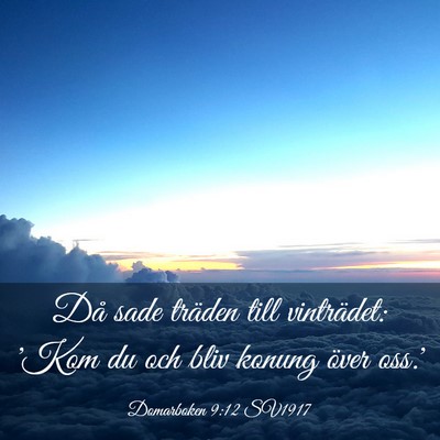 Picture 03 - Domarboken 9:12 SV1917 - Då sade träden till vinträdet: 'Kom du och - Bible Verse Picture