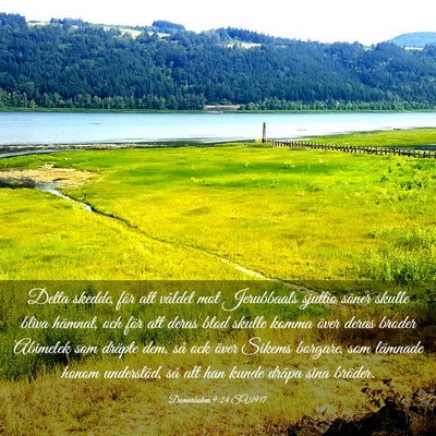 Picture 03 - Domarboken 9:24 SV1917 - Detta skedde, för att våldet mot Jerubbaals - Bible Verse Picture