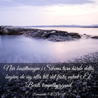 Picture 03 - Domarboken 9:46 SV1917 - När besättningen i Sikems torn hörde detta, - Bible Verse Picture