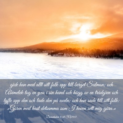 Picture 03 - Domarboken 9:48 SV1917 - gick han med allt sitt folk upp till berget - Bible Verse Picture