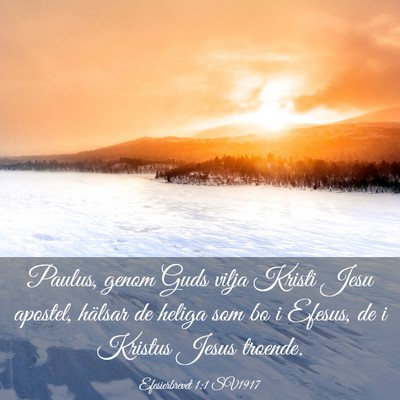 Picture 03 - Efesierbrevet 1:1 SV1917 - Paulus, genom Guds vilja Kristi Jesu apostel, - Bible Verse Picture