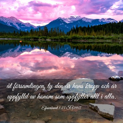 Picture 03 - Efesierbrevet 1:23 SV1917 - åt församlingen, ty den är hans kropp och är - Bible Verse Picture