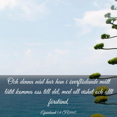 Picture 03 - Efesierbrevet 1:8 SV1917 - Och denna nåd har han i överflödande mått - Bible Verse Picture