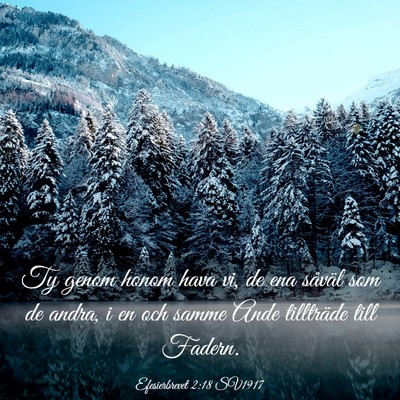Picture 03 - Efesierbrevet 2:18 SV1917 - Ty genom honom hava vi, de ena såväl som de - Bible Verse Picture