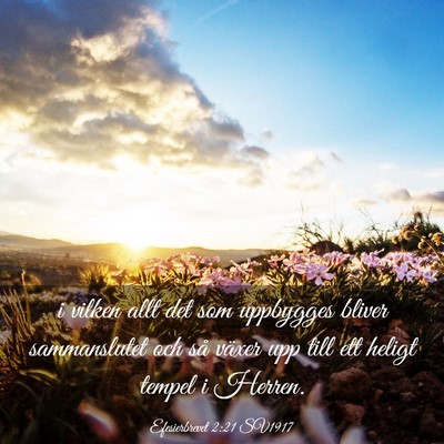 Picture 03 - Efesierbrevet 2:21 SV1917 - i vilken allt det som uppbygges bliver - Bible Verse Picture