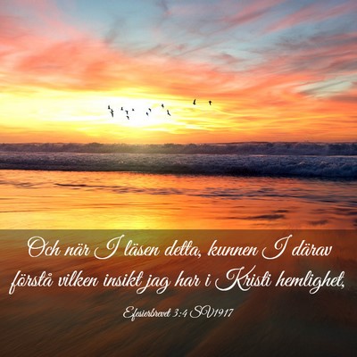 Picture 03 - Efesierbrevet 3:4 SV1917 - Och när I läsen detta, kunnen I därav förstå - Bible Verse Picture