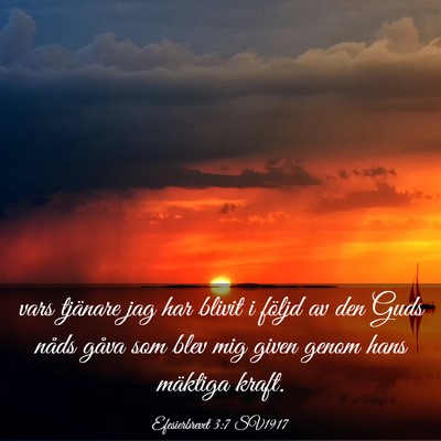 Picture 03 - Efesierbrevet 3:7 SV1917 - vars tjänare jag har blivit i följd av den Guds - Bible Verse Picture