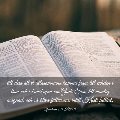 Picture 03 - Efesierbrevet 4:13 SV1917 - till dess att vi allasammans komma fram till - Bible Verse Picture