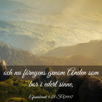 Picture 03 - Efesierbrevet 4:23 SV1917 - och nu förnyens genom Anden som bor i edert - Bible Verse Picture