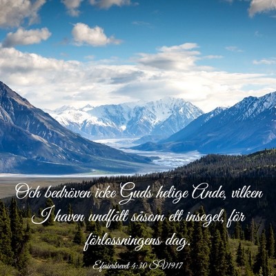 Picture 03 - Efesierbrevet 4:30 SV1917 - Och bedröven icke Guds helige Ande, vilken I - Bible Verse Picture