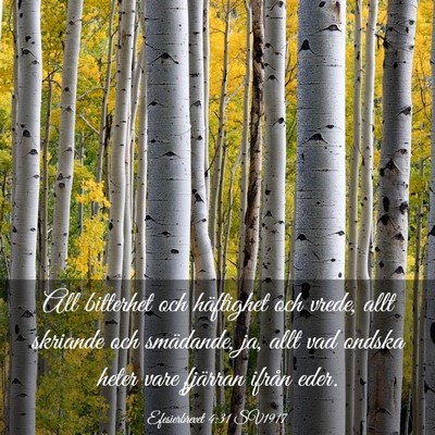 Picture 03 - Efesierbrevet 4:31 SV1917 - All bitterhet och häftighet och vrede, allt - Bible Verse Picture