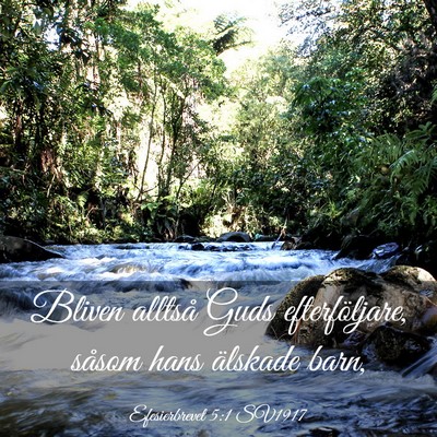 Picture 03 - Efesierbrevet 5:1 SV1917 - Bliven alltså Guds efterföljare, såsom hans - Bible Verse Picture
