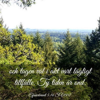 Picture 03 - Efesierbrevet 5:16 SV1917 - och tagen väl i akt vart lägligt tillfälle. Ty - Bible Verse Picture