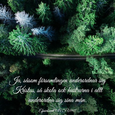 Picture 03 - Efesierbrevet 5:24 SV1917 - Ja, såsom församlingen underordnar sig Kristus, - Bible Verse Picture