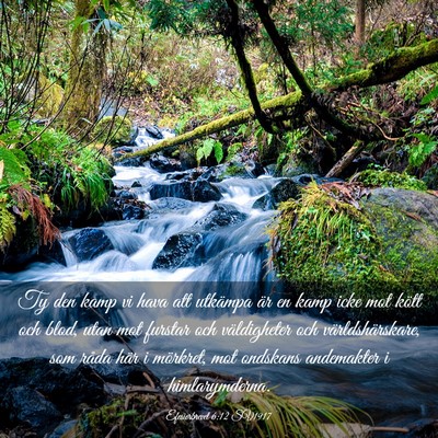 Picture 03 - Efesierbrevet 6:12 SV1917 - Ty den kamp vi hava att utkämpa är en kamp icke - Bible Verse Picture