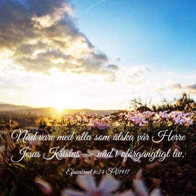 Picture 03 - Efesierbrevet 6:24 SV1917 - Nåd vare med alla som älska vår Herre Jesus - Bible Verse Picture