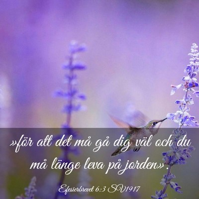 Picture 03 - Efesierbrevet 6:3 SV1917 - »för att det må gå dig väl och du må länge - Bible Verse Picture
