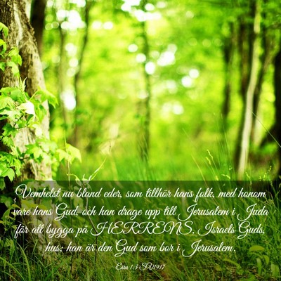 Picture 03 - Esra 1:3 SV1917 - Vemhelst nu bland eder, som tillhör hans folk, - Bible Verse Picture