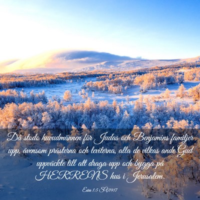 Picture 03 - Esra 1:5 SV1917 - Då stodo huvudmännen för Judas och Benjamins - Bible Verse Picture