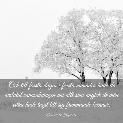 Picture 03 - Esra 10:17 SV1917 - Och till första dagen i första månaden hade de - Bible Verse Picture