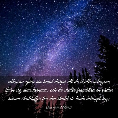 Picture 03 - Esra 10:19 SV1917 - vilka nu gåvo sin hand därpå att de skulle - Bible Verse Picture
