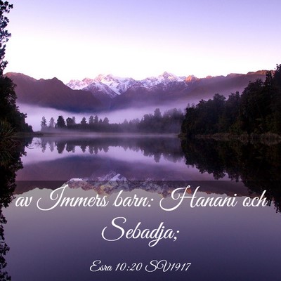 Picture 03 - Esra 10:20 SV1917 - av Immers barn: Hanani och - Bible Verse Picture