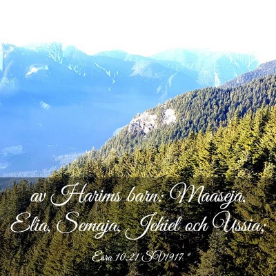 Picture 03 - Esra 10:21 SV1917 - av Harims barn: Maaseja, Elia, Semaja, Jehiel och - Bible Verse Picture