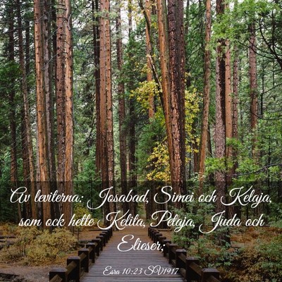 Picture 03 - Esra 10:23 SV1917 - Av leviterna: Josabad, Simei och Kelaja, som ock - Bible Verse Picture