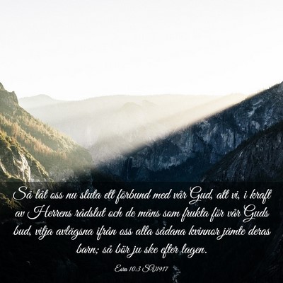 Picture 03 - Esra 10:3 SV1917 - Så låt oss nu sluta ett förbund med vår Gud, - Bible Verse Picture