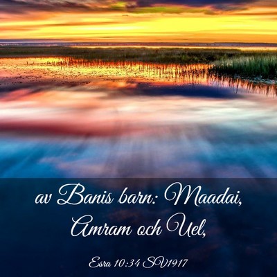 Picture 03 - Esra 10:34 SV1917 - av Banis barn: Maadai, Amram och - Bible Verse Picture