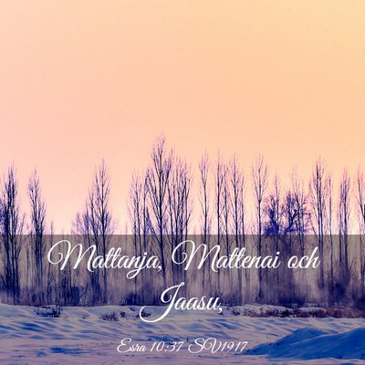Picture 03 - Esra 10:37 SV1917 - Mattanja, Mattenai och - Bible Verse Picture