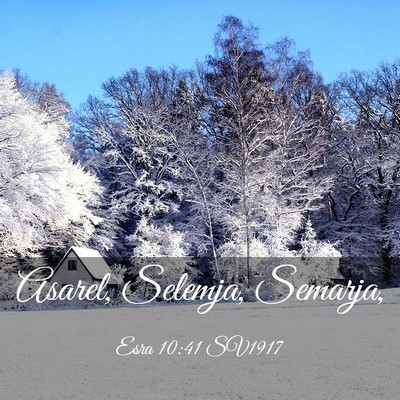 Picture 03 - Esra 10:41 SV1917 - Asarel, Selemja, - Bible Verse Picture