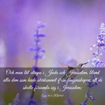 Picture 03 - Esra 10:7 SV1917 - Och man lät utropa i Juda och Jerusalem, bland - Bible Verse Picture
